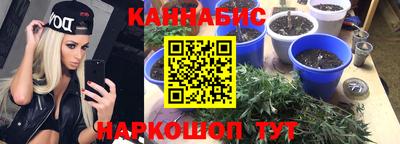 прущая мука Будённовск