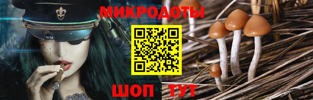 Галлюциногенные грибы Cubensis  Галлюциногенные грибы ЛСД  Людиново  Вход с VPN 
